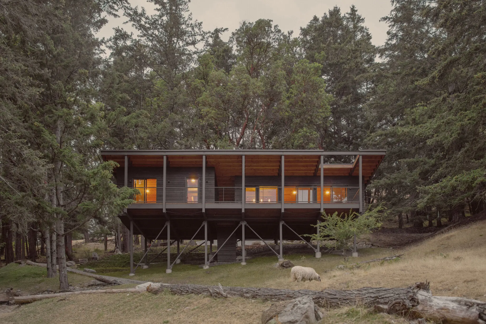 New Eco-friendly Project in Washington